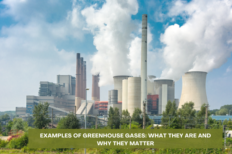 Examples of Greenhouse Gases